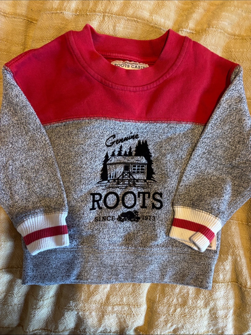 Roots Kids Red and Gray Logo Cabin Crewneck